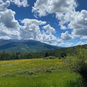 Meet your Posher, Denny